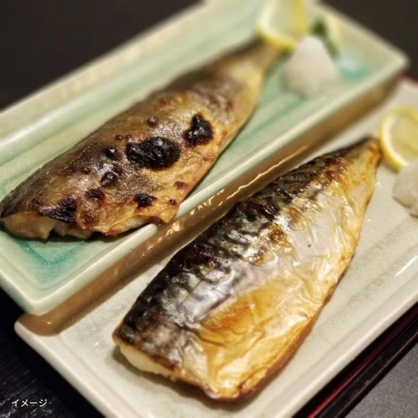 「骨取済み 無塩 トロさば＆縞ほっけフィーレ 各1kg」計2kg - Image 9