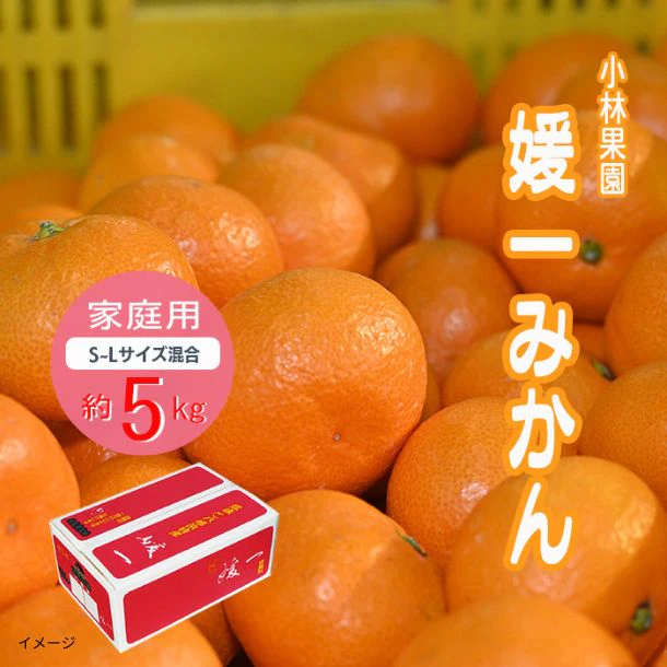 愛媛県産「媛一みかん 家庭用 S～Lサイズ混合」約5kg - Image 2