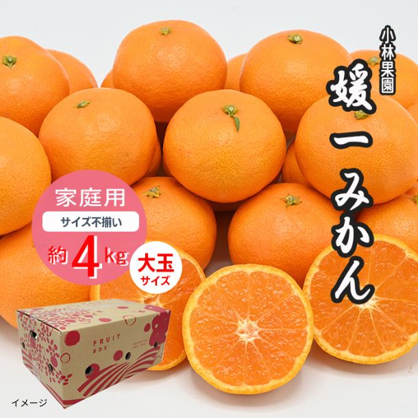愛媛県産「媛一みかん 家庭用 大玉 Lサイズ以上」約4kg - Image 2