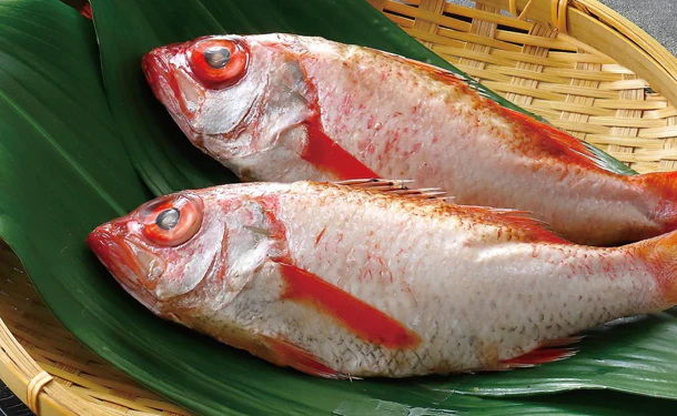 「焼き・煮付け用 のどくろ（姿）」2尾（SE-120） - Image 3