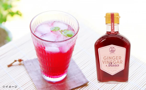 鳥取県産「GINGER SYRUP＆GINGER VINEGAR Shiso」200ml×各1本 - Image 2