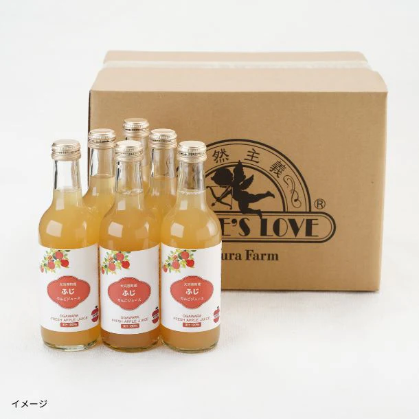 「宮城県大河原町 ふじリンゴジュース」300ml - Image 4
