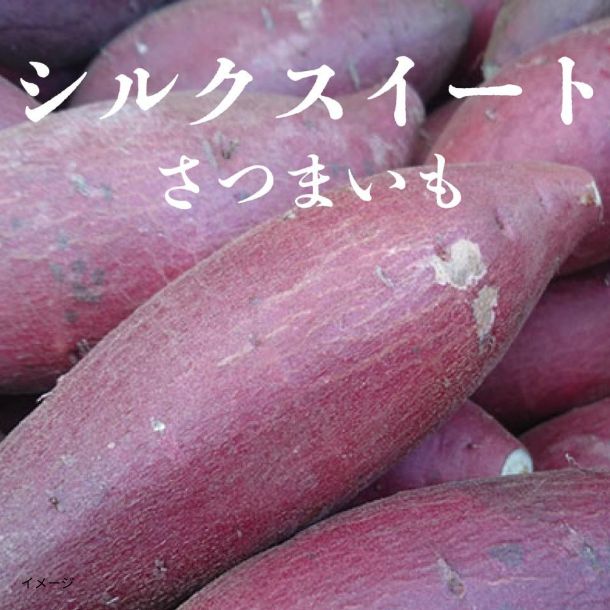 千葉県産「シルクスイート」10kg - Image 2