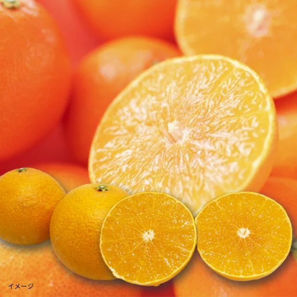 愛媛県産「訳あり 愛媛マドンナ」5kg