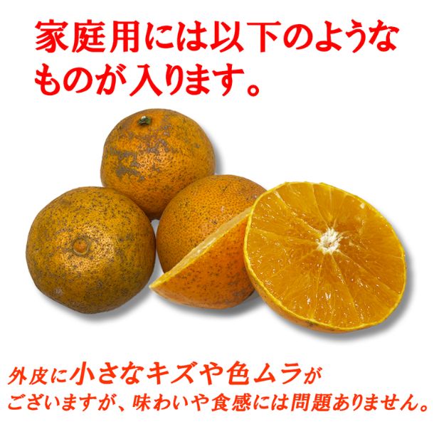 愛媛県産「訳あり 愛媛マドンナ」5kg - Image 2