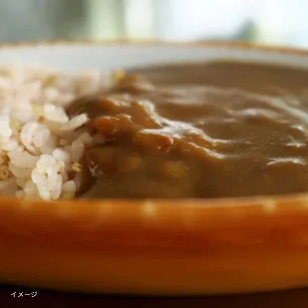 ドクター中松「がんがんカレー」（3パック入） - Image 2