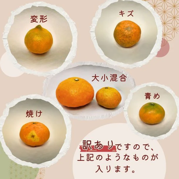 愛媛県産「訳あり 甘平」3kg - Image 3