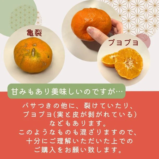 愛媛県産「訳あり 甘平」5kg - Image 3