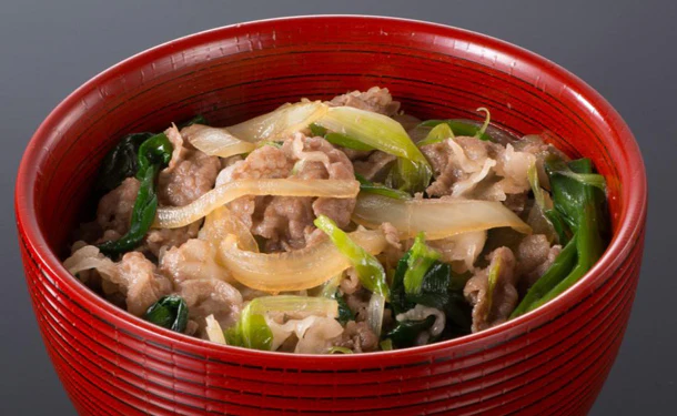 「松阪牛牛丼の具＆松阪牛焼成ハンバーグ」計9個（OA629C1788A） - Image 3