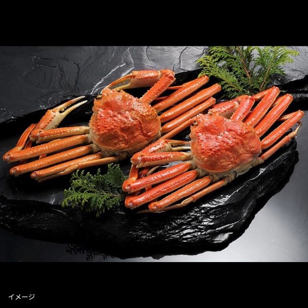 「超特大 本ずわいがに 姿 ボイル」約900g