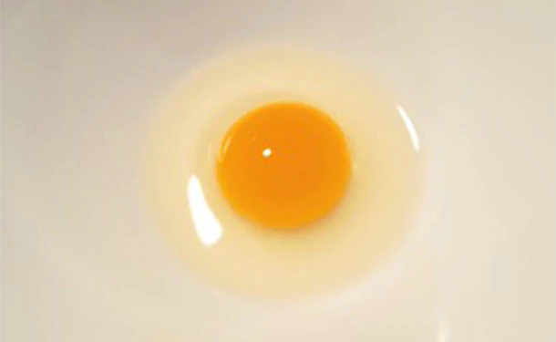 静岡県産「命のカプセル うずらの卵（から割ハサミ付き）」10個×18パック - Image 3