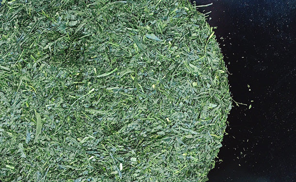 静岡県産「産地直送緑茶 遠州 森の茶」300g×6袋 - Image 3