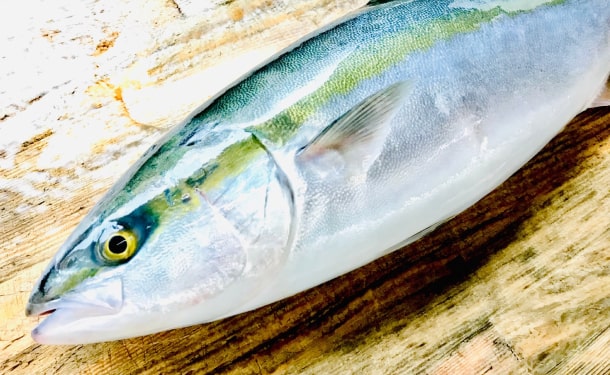 愛媛県産「ブリの刺身・骨抜き切身魚セット」 - Image 4