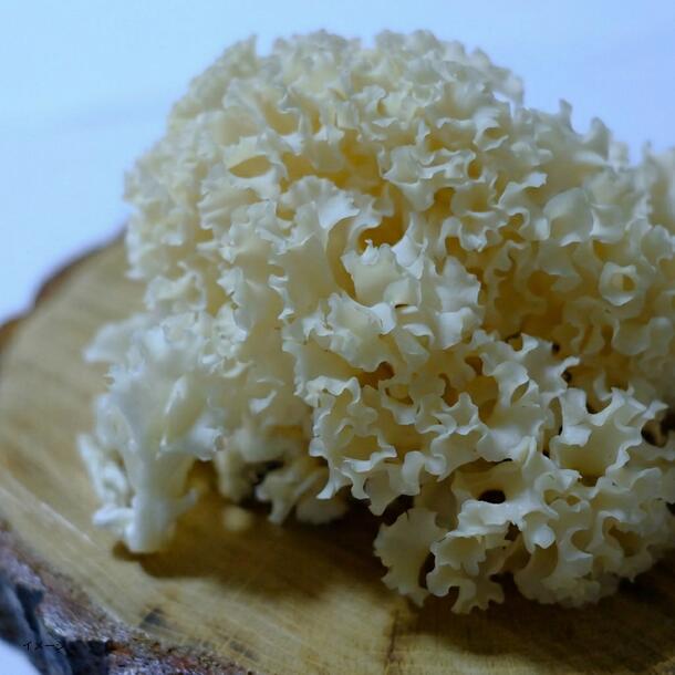 「花びら茸とキャベツのトマトスープ」 - Image 4