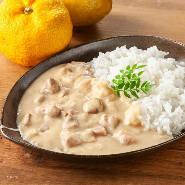 紀ノ国屋「京風ゆずカレー」180g - Image 2