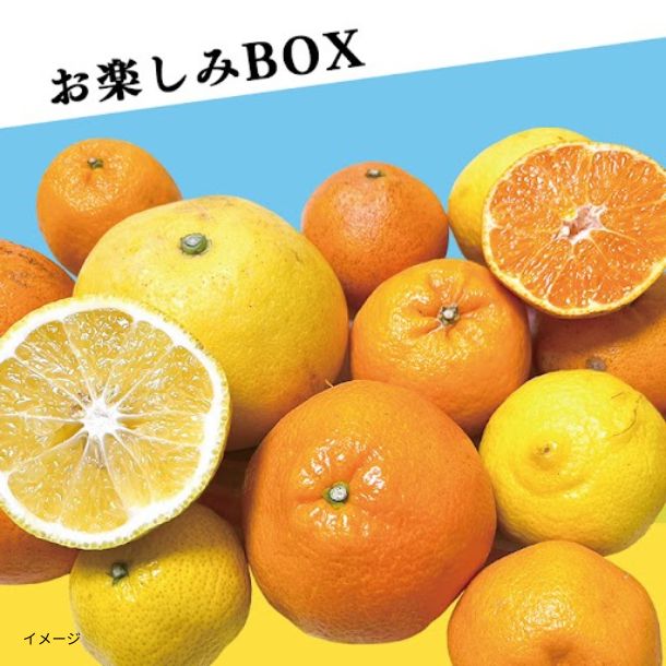 愛媛県産「媛一 お楽しみボックス 家庭用」2kg - Image 2