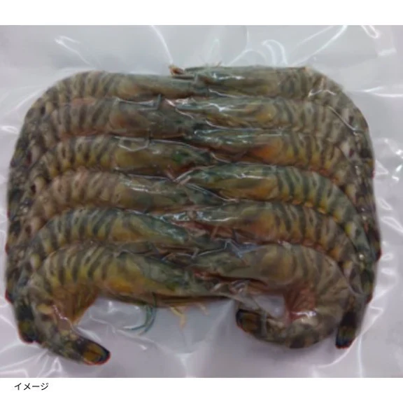 鹿児島県産「養殖 活き〆冷凍車海老 バラ11尾」約300g - Image 2