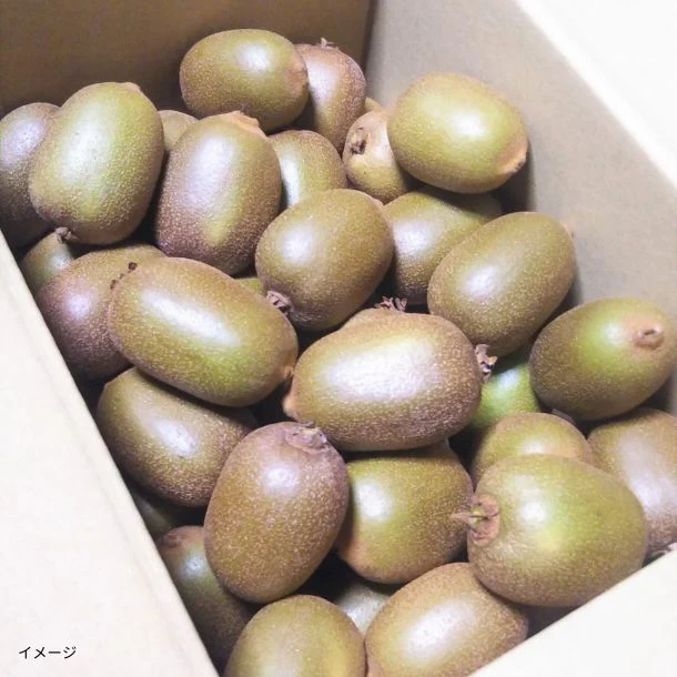 「さぬき キウイっこ」2kg - Image 5