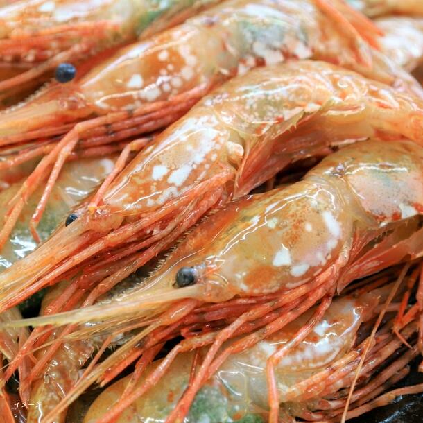 北海道産「ボタンエビ」500g - Image 2