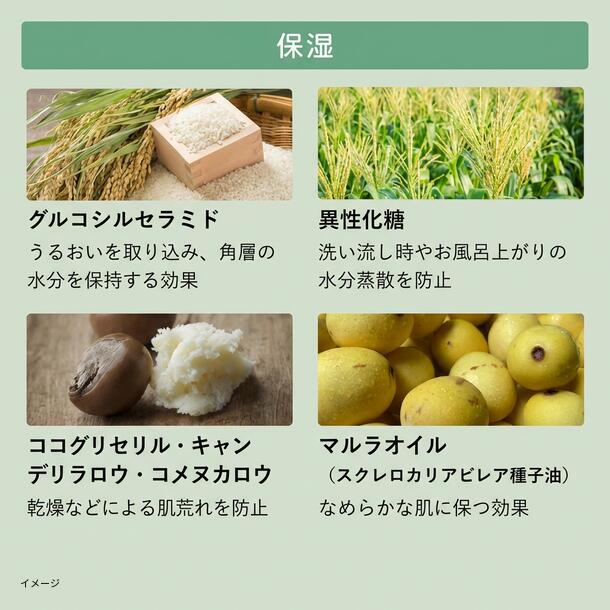 BOTANIST「ベビー ボタニカルベビーソープフォーム 詰替」350ml - Image 5