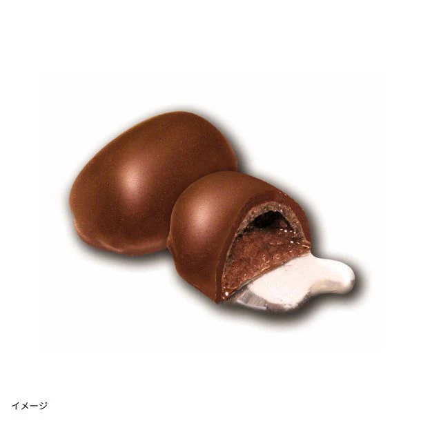 「日本酒ボンボンチョコレート 銀嶺月山 大吟醸（山形）」約130粒 - Image 3