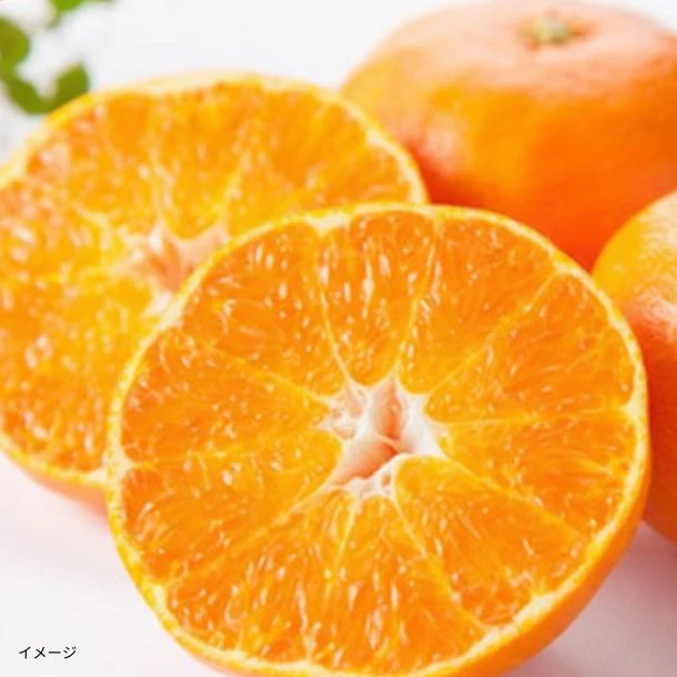 愛媛県産「甘平 家庭用」約2.5kg