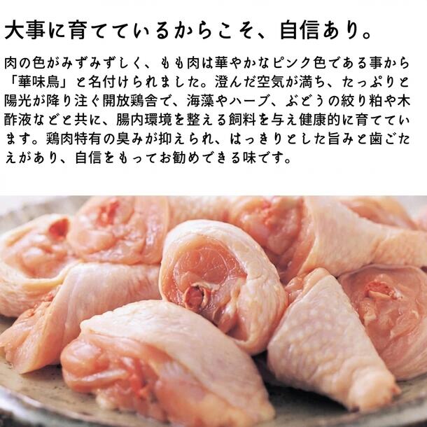 「料亭のチキンカレー」5袋 - Image 2