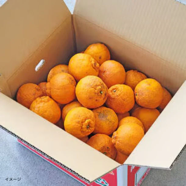 愛媛県産「媛ポン(不知火)家庭用・サイズMIX」10kg - Image 2